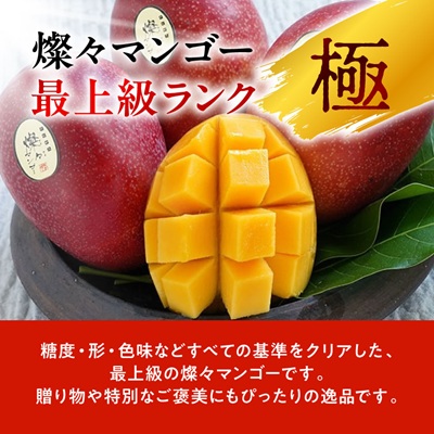 【2026年7月から順次発送・最高級ランク極】燦々マンゴー900g(2玉)【配送不可地域：離島】