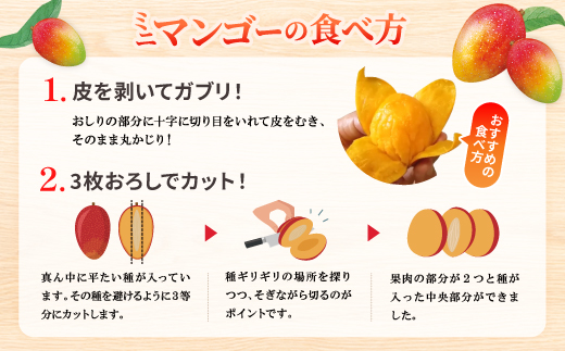 【2026年6月から順次発送】数量限定の訳ありミニマンゴー1kg【配送不可地域：離島】