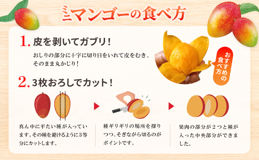 【2026年6月から順次発送】数量限定の訳ありミニマンゴー2kg【配送不可地域：離島】