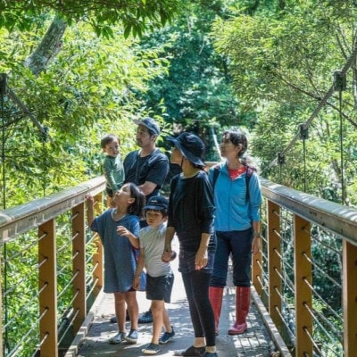 【宿泊券・2泊3日スタンダードプラン2名様】やんばるホテル南溟森室(竈門ご飯体験、ネイチャーガイド)