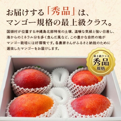 【2026年6月から順次発送】秀品アーウィンマンゴー2kg(3～6玉)【配送不可地域：離島】