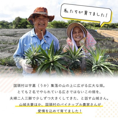 【2026年7月から順次発送】パイナップルの王道 Nパイン4玉【配送不可地域：離島】