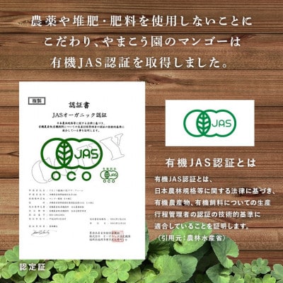 【2026年7月上旬から順次発送・有機JAS認証】オーガニックマンゴー1kg(2～3玉)【配送不可地域：離島】