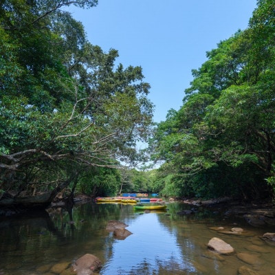 やんばるの自然を満喫!安田川ジャングルカヌー体験チケット2名様
