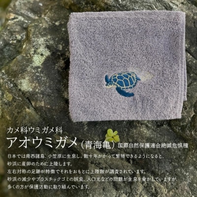 地域の自然を守るタオル やんばるの海と森を想う 3枚セット