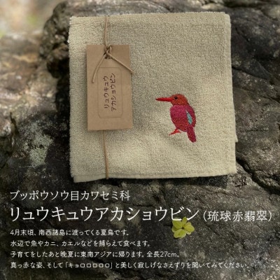 地域の自然を守るタオル やんばるの森を代表する野鳥 3枚セット