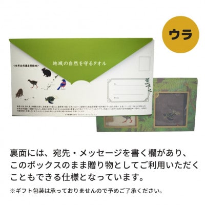 世界自然遺産 記念BOX 地域の自然を守るタオル 2枚セット