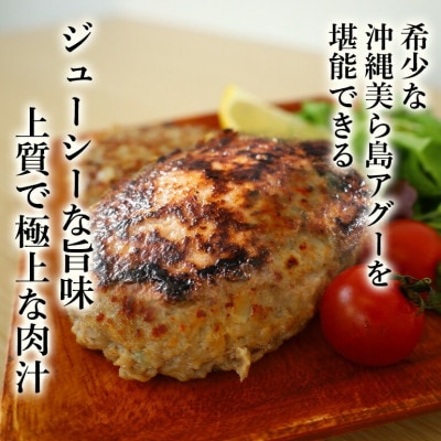 「美ら島あぐー」ハンバーグ 16個(4個入×4P)【配送不可地域：離島】