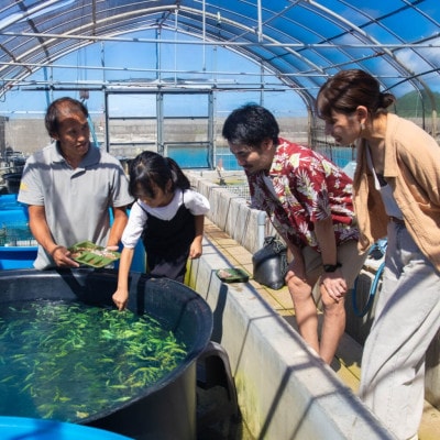 見て・触って・学べる!やんばるタッチプール＆飼育体験チケット2名様