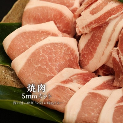 【ふるさと納税限定】くんじゃん豚 食べ比べセット 焼肉・しゃぶしゃぶ 計3.2kg【配送不可地域：離島】