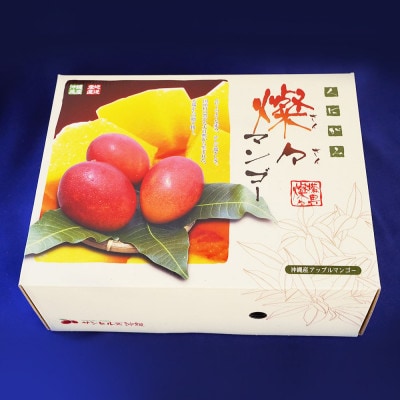 【2025年発送・優品】燦々マンゴー2.0kg(4～6玉)【配送不可地域：離島】