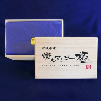 【2026年7月から順次発送・最高級ランク極】燦々マンゴー900g(2玉)【配送不可地域：離島】