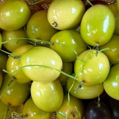 【2025年12月から順次発送】国頭村産パッションフルーツ イエロークイーン 1kg(5～7玉)