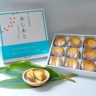 【国頭村産茶葉使用】日本一早い新茶「おくみどり茶」が香るチーズタルト 18個入(9個入×2箱)【配送不可地域：離島】