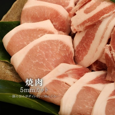 【ふるさと納税限定】くんじゃん豚 食べ比べセット 焼肉・しゃぶしゃぶ 計1.6kg【配送不可地域：離島】