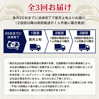 【毎月定期便】オリオン ザ・ドラフト(350ml×24本)全3回