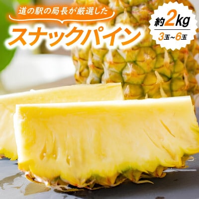 【発送月固定定期便】国頭産パイナップル3種セット(ゴールドバレル・スナックパイン・Nパイン)全3回【配送不可地域：離島】