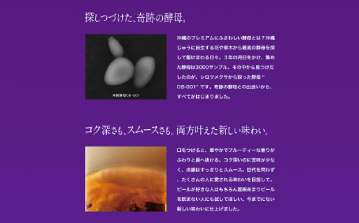 【沖縄県共通返礼品・オリオンビール】オリオン ザ・プレミアム(350ml×24本)