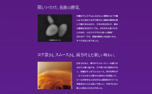 【沖縄県共通返礼品・オリオンビール】オリオン ザ・プレミアム(350ml×12本)