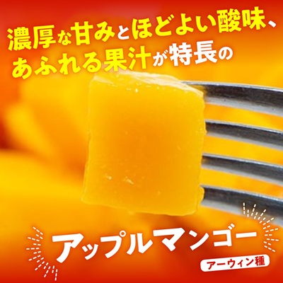 【2026年7月から順次発送・優品】燦々マンゴー1.0kg(2～3玉)【配送不可地域：離島】