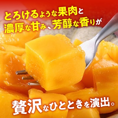 【2026年7月から順次発送・最高級ランク極】燦々マンゴー900g(2玉)【配送不可地域：離島】