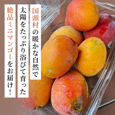 【2026年6月から順次発送】数量限定の訳ありミニマンゴー2kg【配送不可地域：離島】