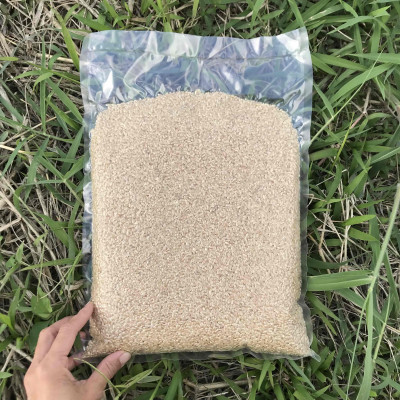 【令和7年産新米】沖縄の農家直送 ひとめぼれ 玄米(栽培期間中農薬不使用)4kg