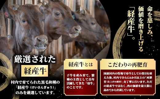 やんばるの自然が育んだ「黒毛和牛 経産牛」焼肉用 合計600g(300g×2パック)【配送不可地域：離島】