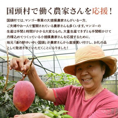 【2026年6月から順次発送】秀品アーウィンマンゴー1kg(2～3玉)【配送不可地域：離島】