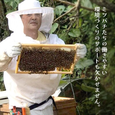 やんばるpure生蜂蜜(国産はちみつ) 甘い百花蜜 180g×3瓶