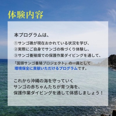 【ダイビング体験チケット】サンゴ養殖プロジェクト 保護作業ダイビング(ライセンス保持者限定)