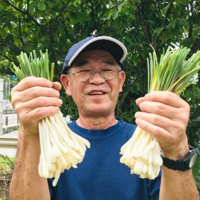 【2026年2月中旬から順次発送】産地直送!沖縄おつまみの定番の島らっきょう1kg