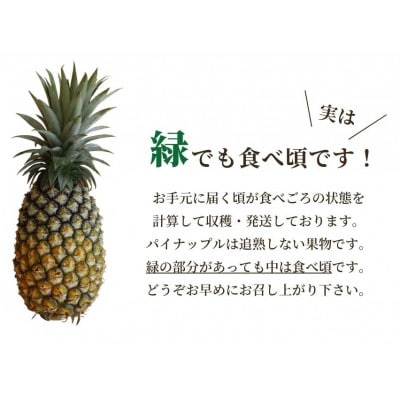 【2026年5月から順次発送・ハウス栽培】パイナップルの王様 ゴールドバレル1玉【配送不可地域：離島】