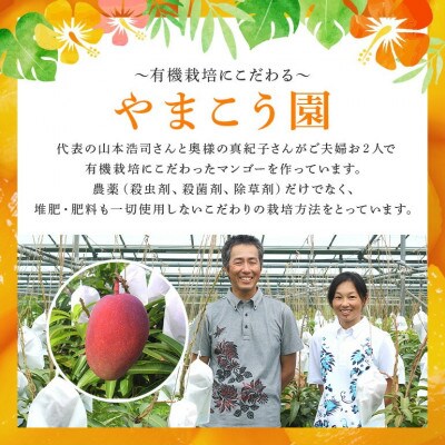 【2026年7月上旬から順次発送・有機JAS認証】オーガニックマンゴー2kg(4～5玉)【配送不可地域：離島】