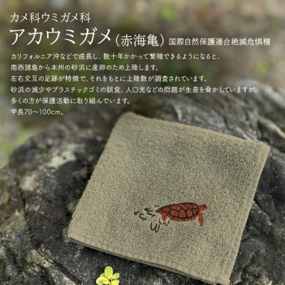 地域の自然を守るタオル やんばるの海と森を想う 3枚セット