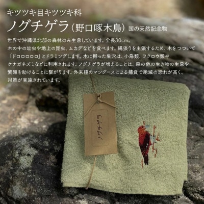 地域の自然を守るタオル やんばるの森を代表する野鳥 3枚セット