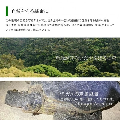 世界自然遺産 記念BOX 地域の自然を守るタオル 2枚セット