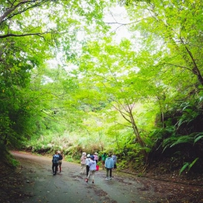 【一ヶ月前予約必須】やんばるの森ネイチャーガイドEVバスツアー 平日午前コース(ペア1組2名様分)