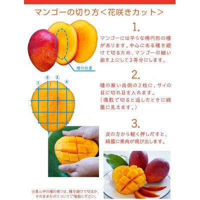 【2025年発送・訳あり】燦々マンゴー2.4kg(4～6玉)【配送不可地域：離島】 2.4㎏（4～6玉）