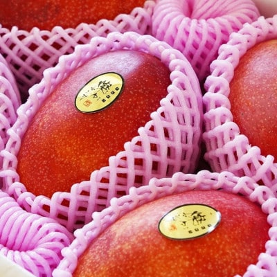 【2025年発送・優品】燦々マンゴー2.0kg(4～6玉)【配送不可地域：離島】