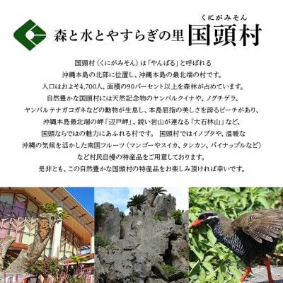 美ら島あぐー ロース250g バラ250g すき焼きセット計500g【配送不可地域：離島】