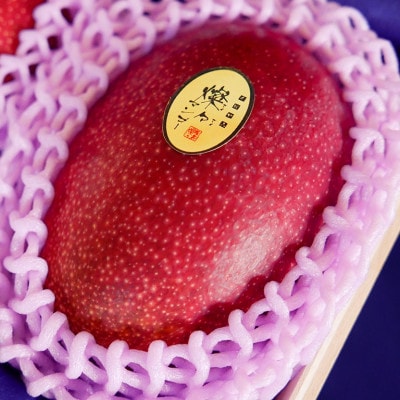 【2026年7月から順次発送・最高級ランク極】燦々マンゴー900g(2玉)【配送不可地域：離島】