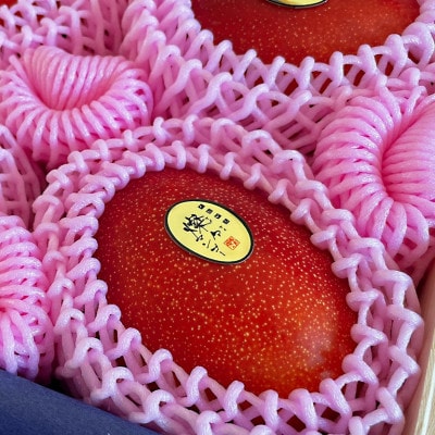 【2025年発送・最高級 極】燦々マンゴー1.8kg(4玉)【配送不可地域：離島】