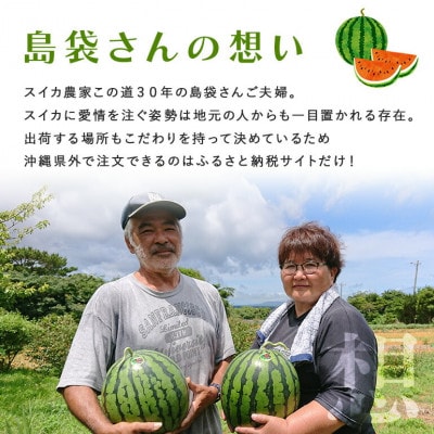 【先行受付・2026年8月中旬から順次発送】島袋さんの夏スイカ大玉 1玉(5.0～7.0kg)【配送不可地域：離島】