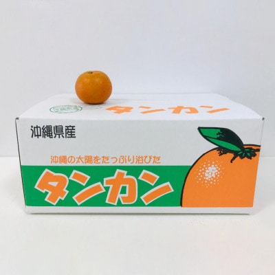 【2026年1月から順次発送】ゆいゆい国頭が厳選した国頭村産タンカン3kg