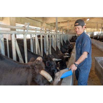 やんばるの自然が育んだ「黒毛和牛 経産牛」焼肉用 合計600g(300g×2パック)【配送不可地域：離島】