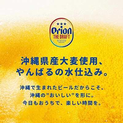 【ビール特産品セット】オリオン ザ・ドラフト＆国頭村の島らっきょう【複数個口で配送】【配送不可地域：離島】