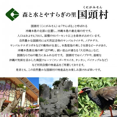 【発送月固定定期便】沖縄2大フルーツセット アップルマンゴー＆パイナップル全2回【配送不可地域：離島】