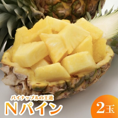 【発送月固定定期便】国頭産パイナップル3種セット(ゴールドバレル・スナックパイン・Nパイン)全3回【配送不可地域：離島】