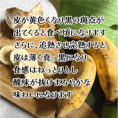 【栽培期間中農薬不使用】やんばるバナナ1.5kg(7～20本)